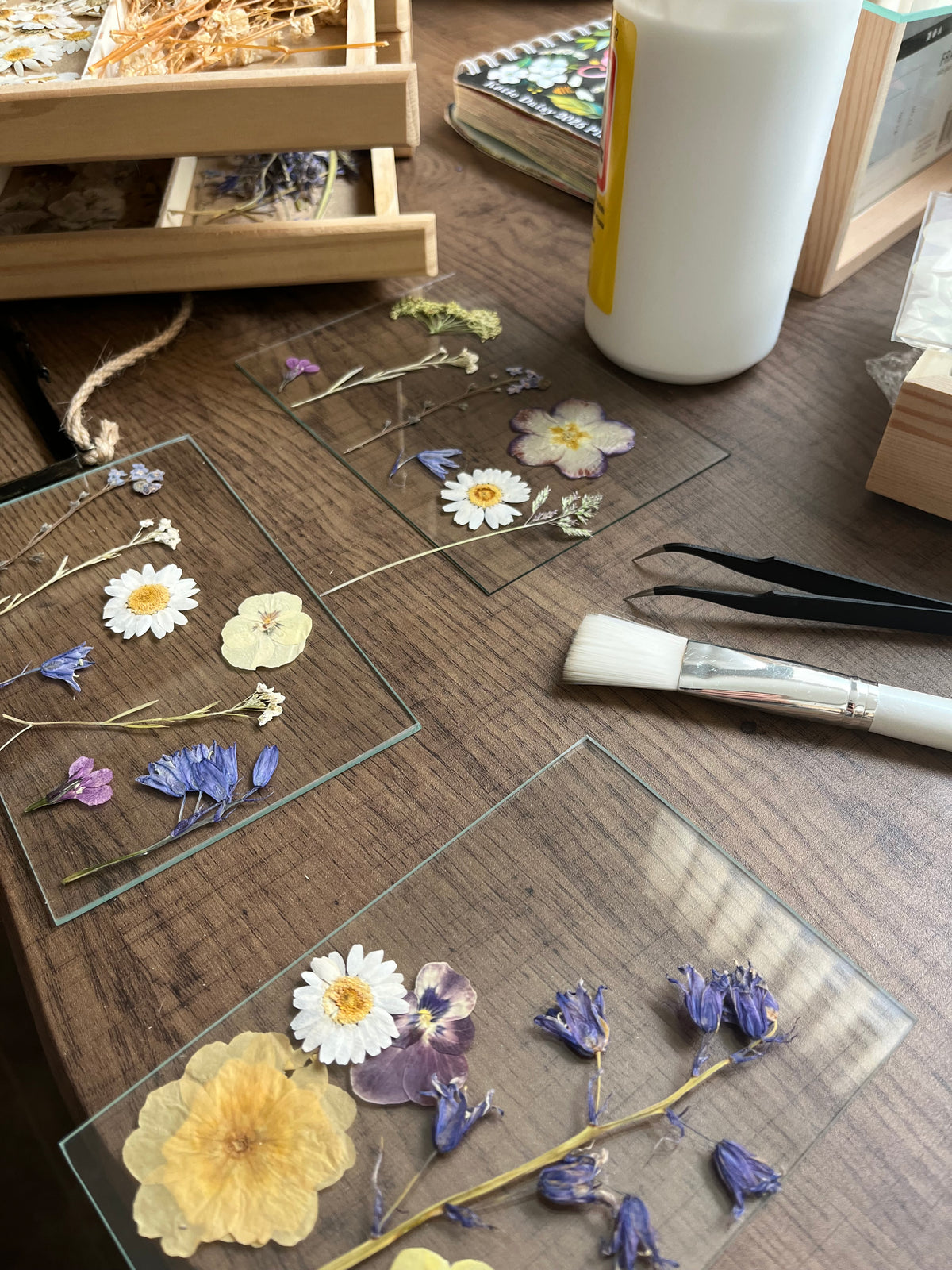 Wildflower Meadow Frame