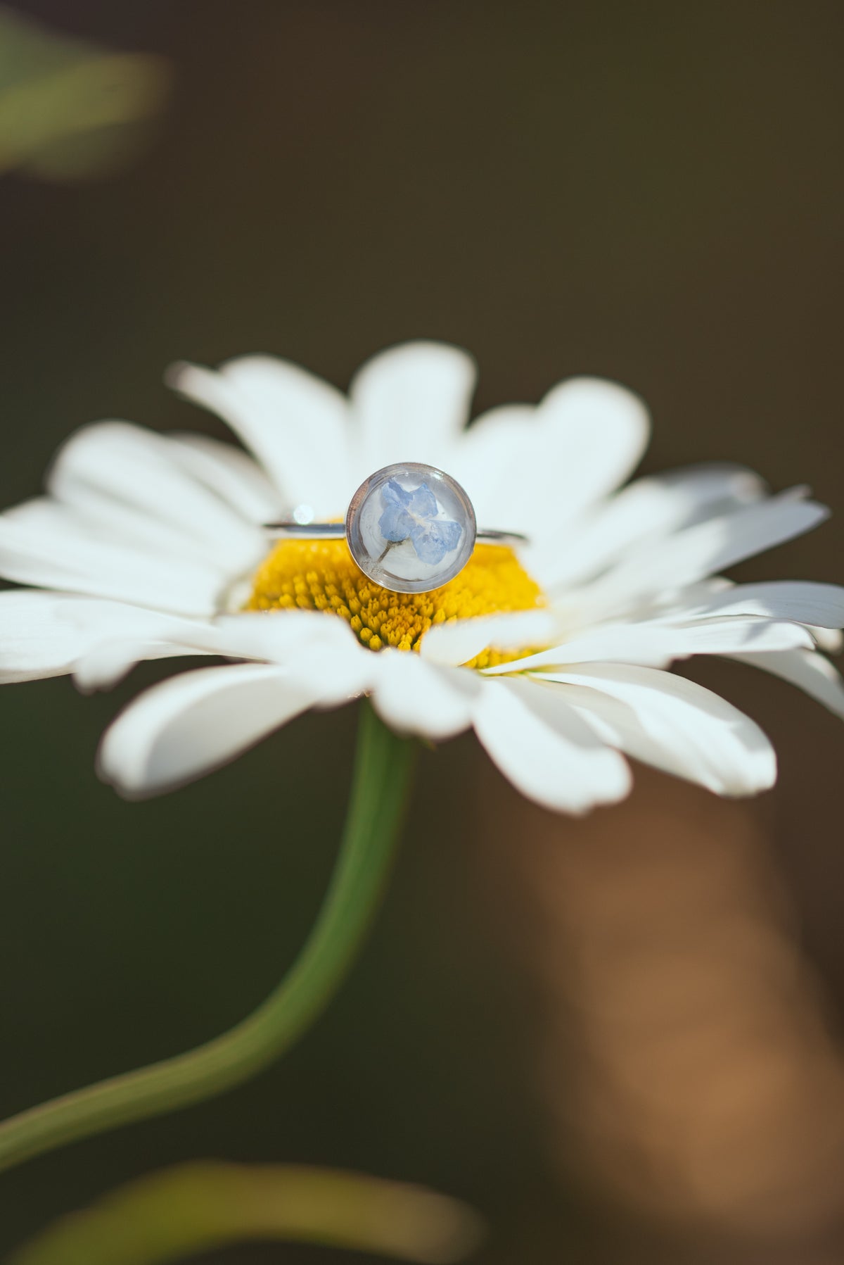 Forget Me Not Ring