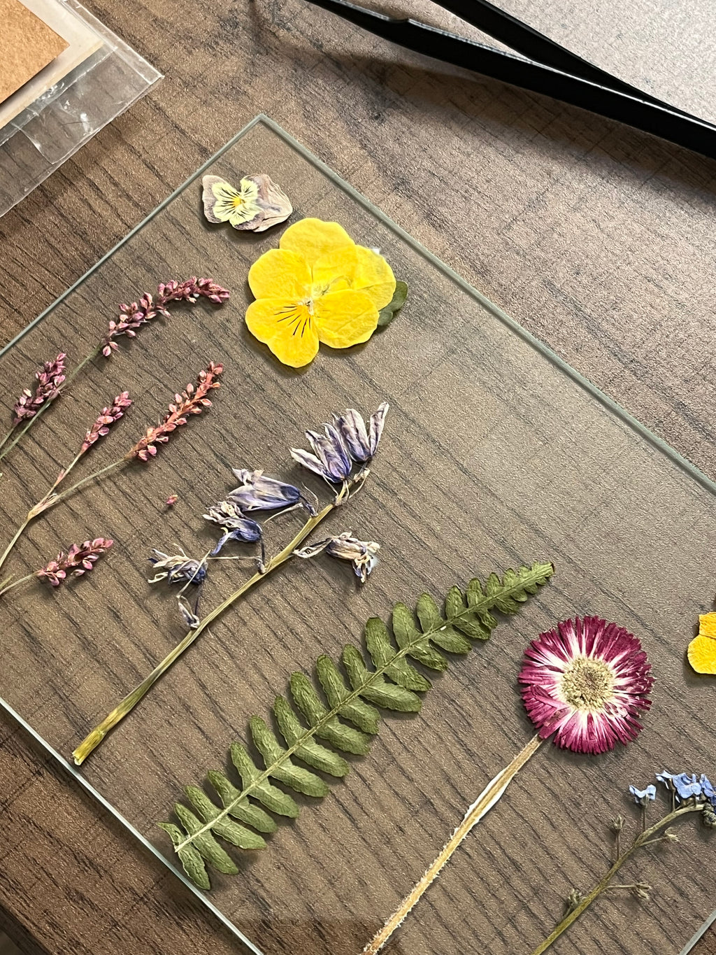 Wildflower Meadow Frame