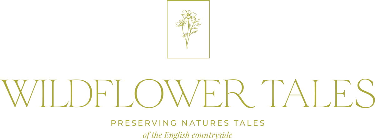 Wildflower Tales England 
